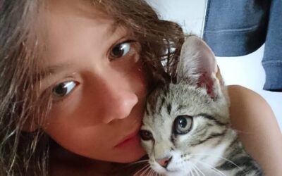 Felt Sense & Flow: A Gentle Practice for Inner Clarity