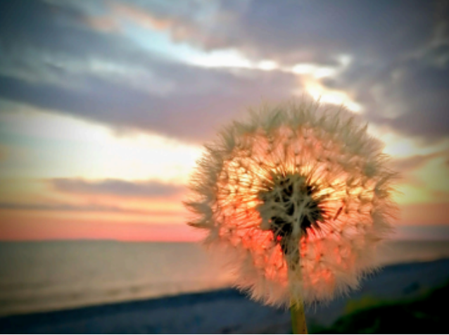 Nature Of Menopause